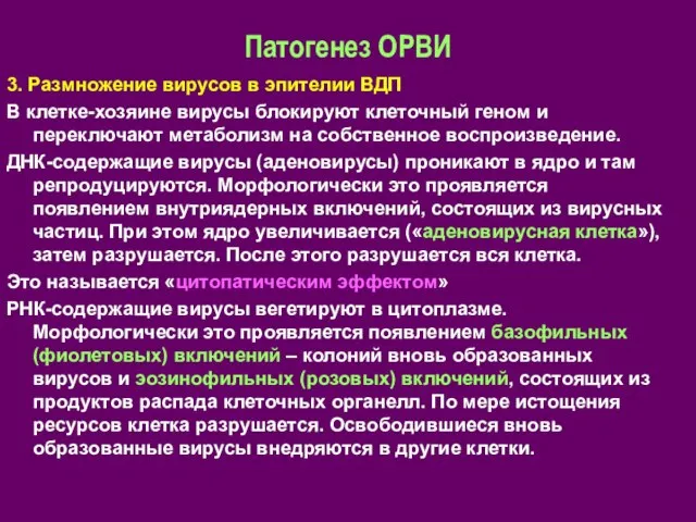 Патогенез ОРВИ 3. Размножение вирусов в эпителии ВДП В клетке-хозяине вирусы