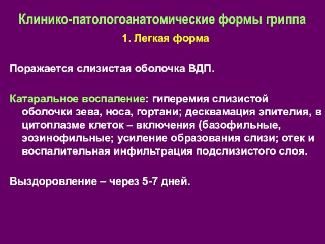 Клинико-патологоанатомические формы гриппа 1. Легкая форма Поражается слизистая оболочка ВДП. Катаральное