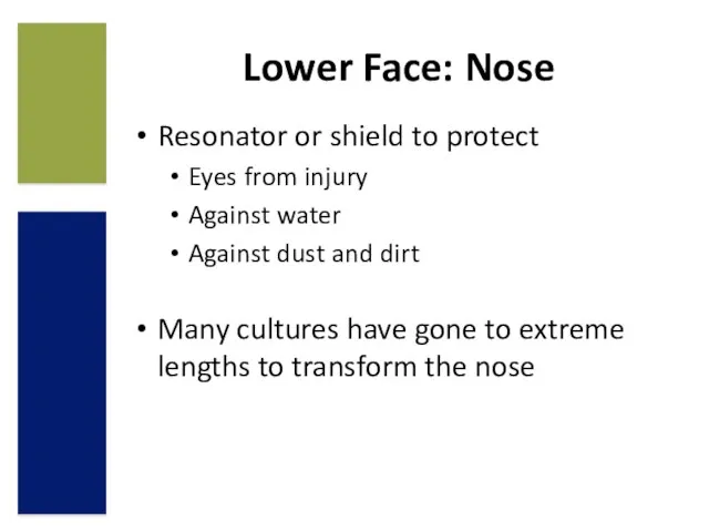 Lower Face: Nose Resonator or shield to protect Eyes from injury