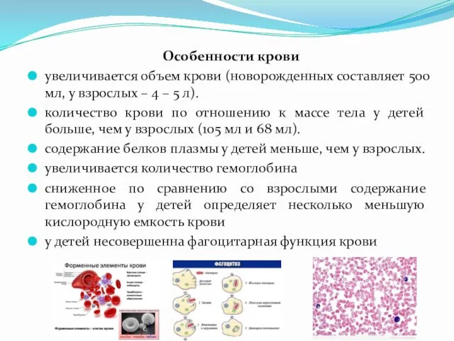 Особенности крови увеличивается объем крови (новорожденных составляет 500 мл, у взрослых