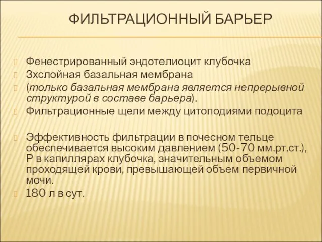 ФИЛЬТРАЦИОННЫЙ БАРЬЕР Фенестрированный эндотелиоцит клубочка Зхслойная базальная мембрана (только базальная мембрана