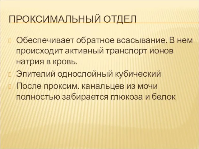 ПРОКСИМАЛЬНЫЙ ОТДЕЛ Обеспечивает обратное всасывание. В нем происходит активный транспорт ионов