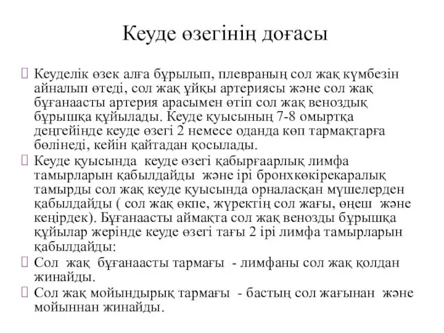 Кеуде өзегінің доғасы Кеуделік өзек алға бұрылып, плевраның сол жақ күмбезін