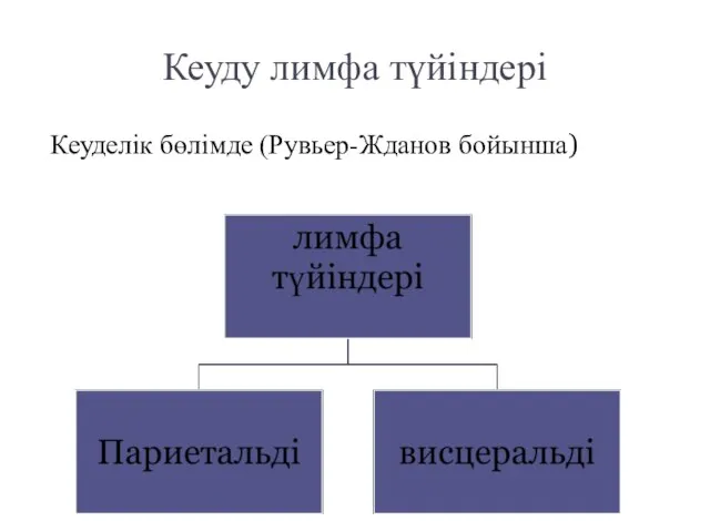 Кеуду лимфа түйіндері Кеуделік бөлімде (Рувьер-Жданов бойынша)