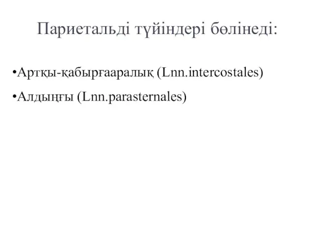 Париетальді түйіндері бөлінеді: Артқы-қабырғааралық (Lnn.intercostales) Алдыңғы (Lnn.parasternales)