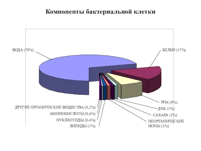 Компоненты бактериальной клетки ВОДА (70%) БЕЛКИ (17%) РНК (8%) ДНК (1%)