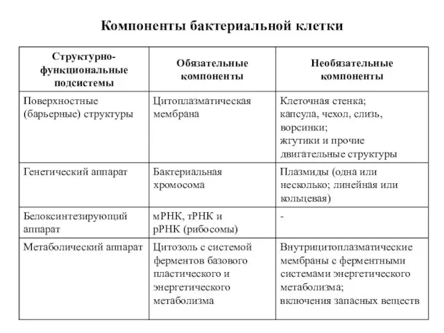 Компоненты бактериальной клетки