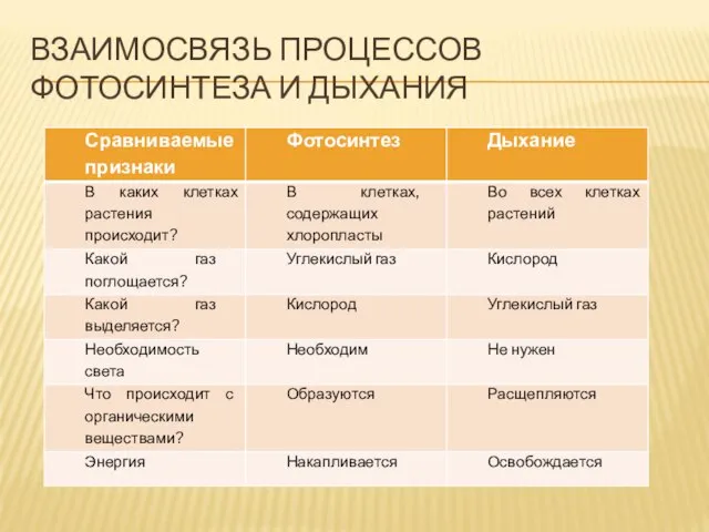 ВЗАИМОСВЯЗЬ ПРОЦЕССОВ ФОТОСИНТЕЗА И ДЫХАНИЯ