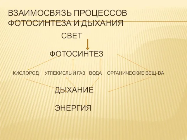 ВЗАИМОСВЯЗЬ ПРОЦЕССОВ ФОТОСИНТЕЗА И ДЫХАНИЯ СВЕТ ФОТОСИНТЕЗ КИСЛОРОД УГЛЕКИСЛЫЙ ГАЗ ВОДА ОРГАНИЧЕСКИЕ ВЕЩ-ВА ДЫХАНИЕ ЭНЕРГИЯ