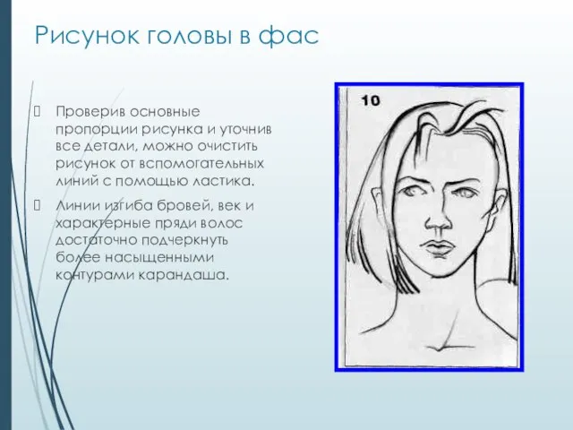 Рисунок головы в фас Проверив основные пропорции рисунка и уточнив все