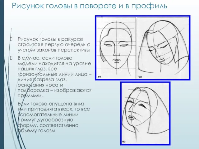 Рисунок головы в повороте и в профиль Рисунок головы в ракурсе