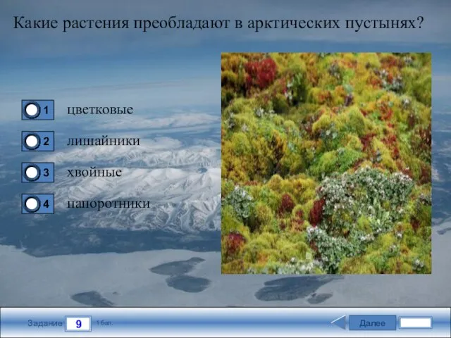 Далее 9 Задание 1 бал. Какие растения преобладают в арктических пустынях? цветковые лишайники хвойные папоротники