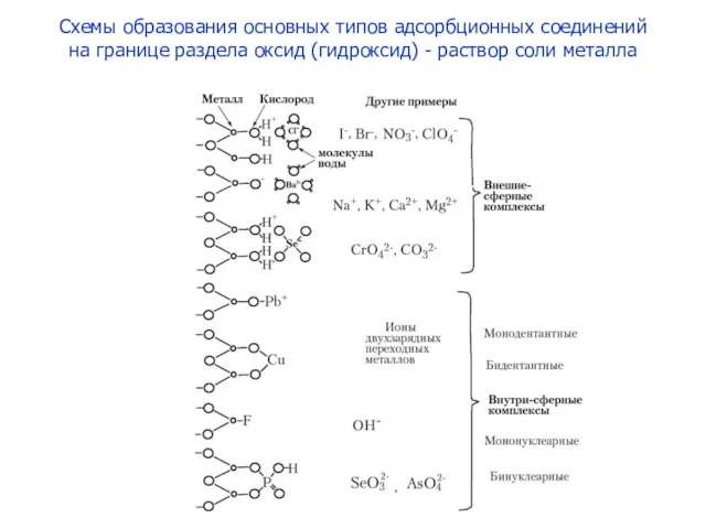 Схемы образования основных типов адсорбционных соединений на границе раздела оксид (гидроксид) - раствор соли металла