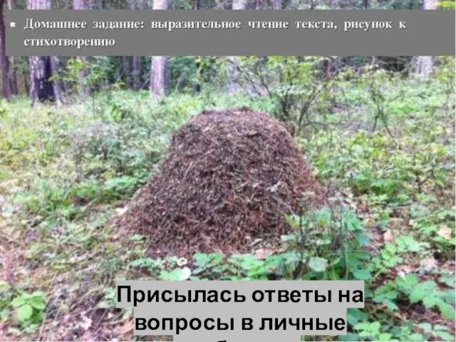 Присылась ответы на вопросы в личные сообщения.