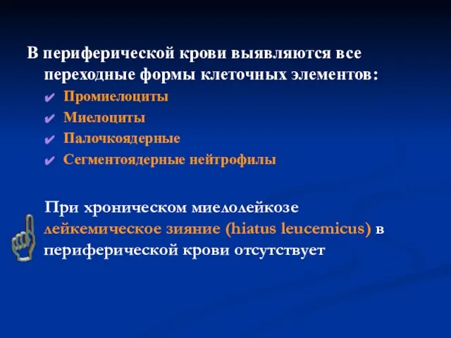 В периферической крови выявляются все переходные формы клеточных элементов: Промиелоциты Миелоциты