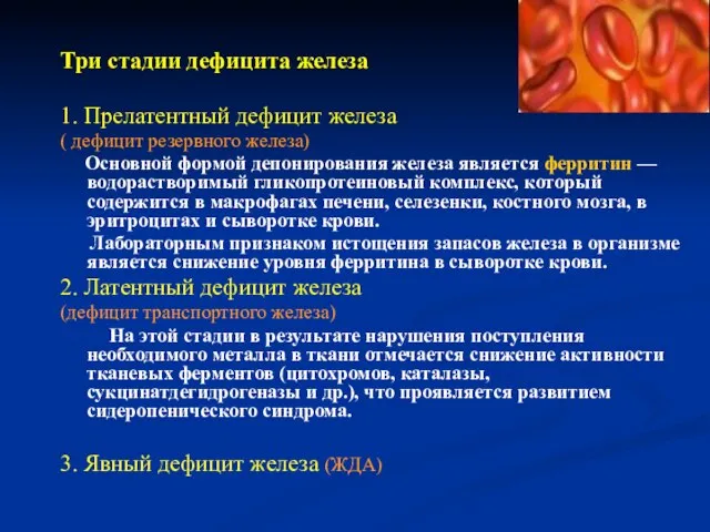 Три стадии дефицита железа 1. Прелатентный дефицит железа ( дефицит резервного