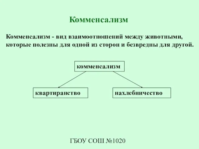 ГБОУ СОШ №1020 Комменсализм Комменсализм - вид взаимоотношений между животными, которые