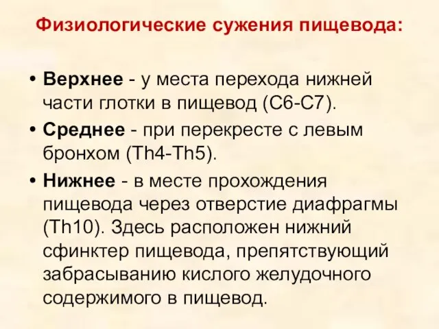 Физиологические сужения пищевода: Верхнее - у места перехода нижней части глотки