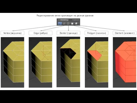 Редактирование сетки происходит на разных уровнях Vertex (вершина) Edge (ребро) Border (граница) Polygon (полигон) Element (элемент)