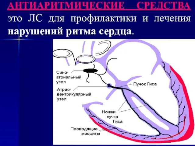 АНТИАРИТМИЧЕСКИЕ СРЕДСТВА это ЛС для профилактики и лечения нарушений ритма сердца.