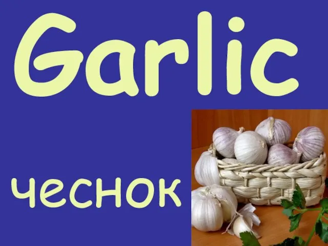 Garlic чеснок