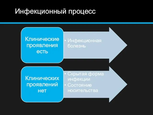 Инфекционный процесс