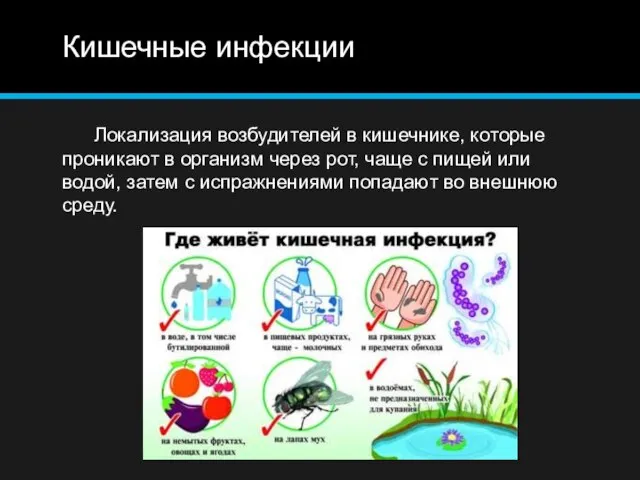 Кишечные инфекции Локализация возбудителей в кишечнике, которые проникают в организм через