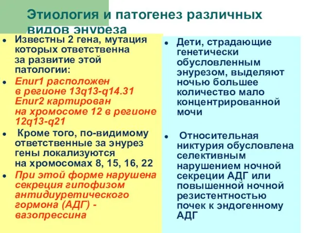 Этиология и патогенез различных видов энуреза Известны 2 гена, мутация которых