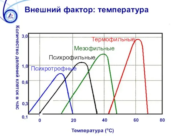Количество делений клеток в час Внешний фактор: температура 0,1 0,3 0,6