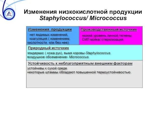 Изменения низкокислотной продукции Staphylococcus/ Micrococcus