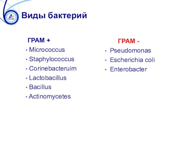 Виды бактерий ГРАМ + Micrococcus Staphylococcus Corinebacteruim Lactobacillus Bacillus Actinomycetes ГРАМ - Pseudomonas Escherichia coli Enterobacter