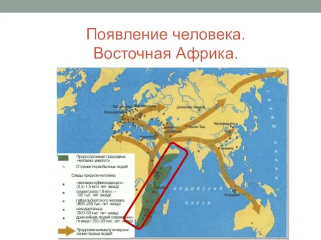 Появление человека. Восточная Африка.