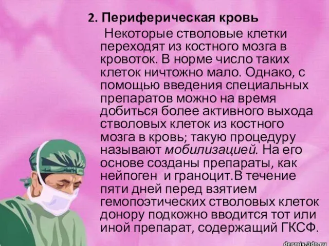 2. Периферическая кровь Некоторые стволовые клетки переходят из костного мозга в