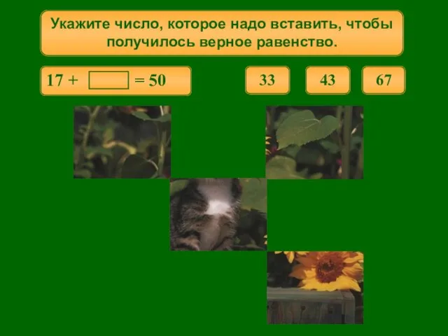 Укажите число, которое надо вставить, чтобы получилось верное равенство. 67 33 43