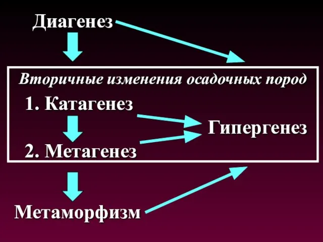 1. Катагенез 2. Метагенез Гипергенез Диагенез Метаморфизм Вторичные изменения осадочных пород