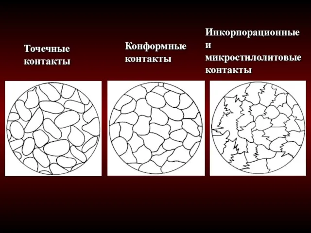 Точечные контакты Конформные контакты Инкорпорационные и микростилолитовые контакты