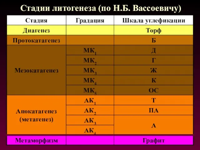 Стадии литогенеза (по Н.Б. Вассоевичу)