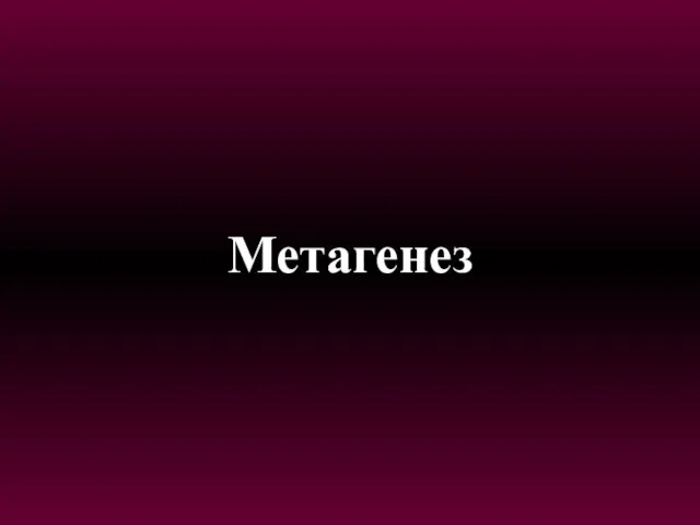Метагенез