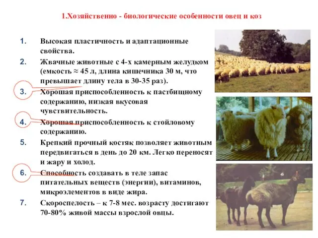 1.Хозяйственно - биологические особенности овец и коз Высокая пластичность и адаптационные