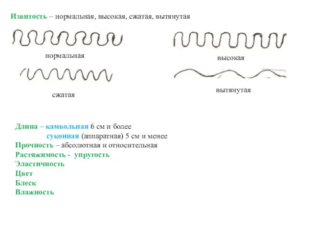 Извитость – нормальная, высокая, сжатая, вытянутая нормальная высокая сжатая вытянутая Длина