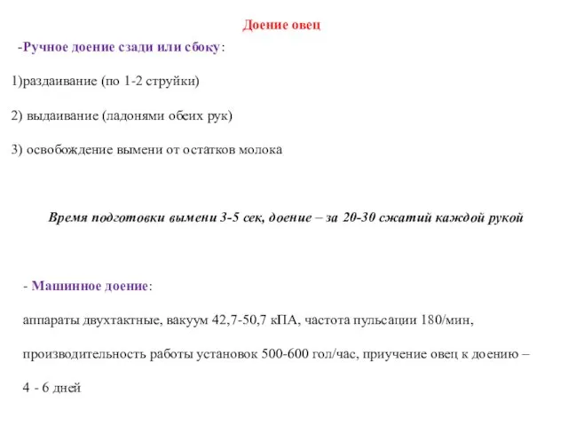 Доение овец Ручное доение сзади или сбоку: раздаивание (по 1-2 струйки)