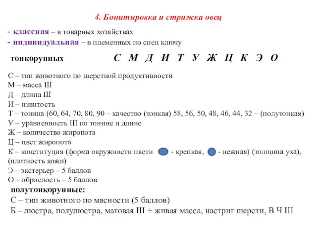 4. Бонитировка и стрижка овец классная – в товарных хозяйствах индивидуальная