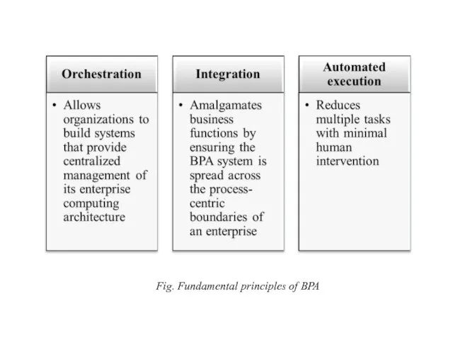 Fig. Fundamental principles of BPA