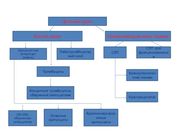 Цельная кровь Клетки крови Свежезамороженная плазма Эритроцитный концентрат (взвесь) Тромбоцыты Лейкотромбоцитар
