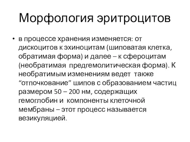 Морфология эритроцитов в процессе хранения изменяется: от дискоцитов к эхиноцитам (шиповатая