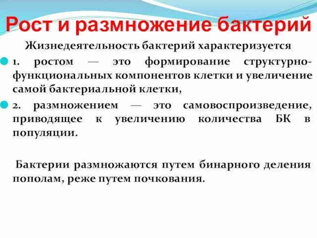 Рост и размножение бактерий Жизнедеятельность бактерий характеризуется 1. ростом — это