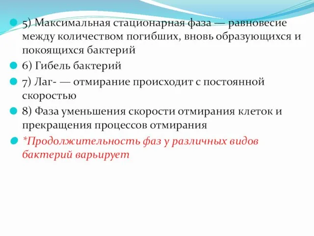 5) Максимальная стационарная фаза — равновесие между количеством погибших, вновь образующихся