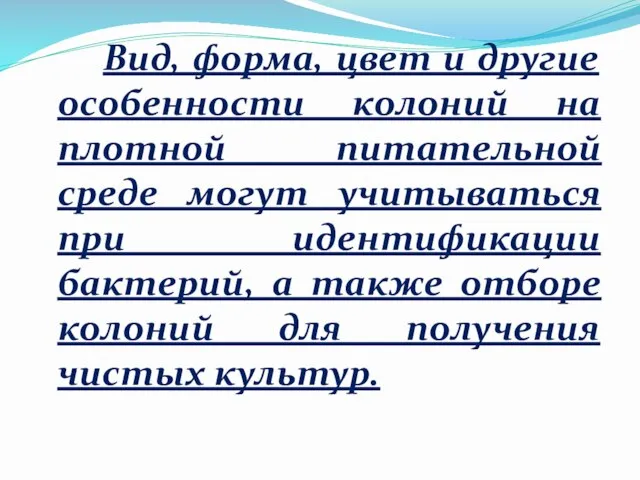 Вид, форма, цвет и другие особенности колоний на плотной питательной среде