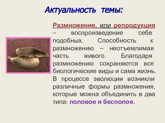 Размножение, или репродукция – воспроизведение себе подобных. Способность к размножению –