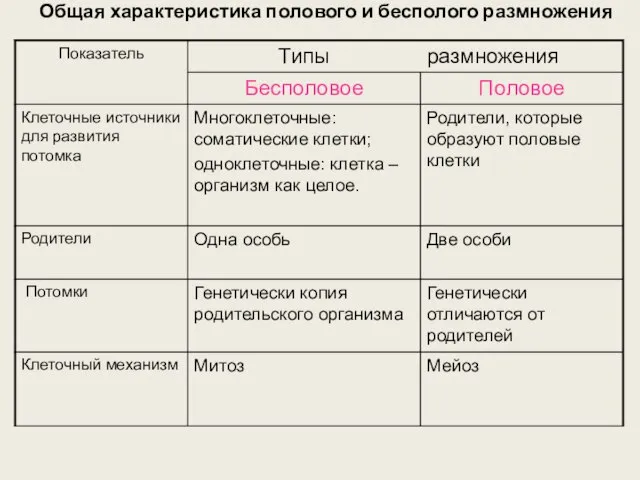 Общая характеристика полового и бесполого размножения